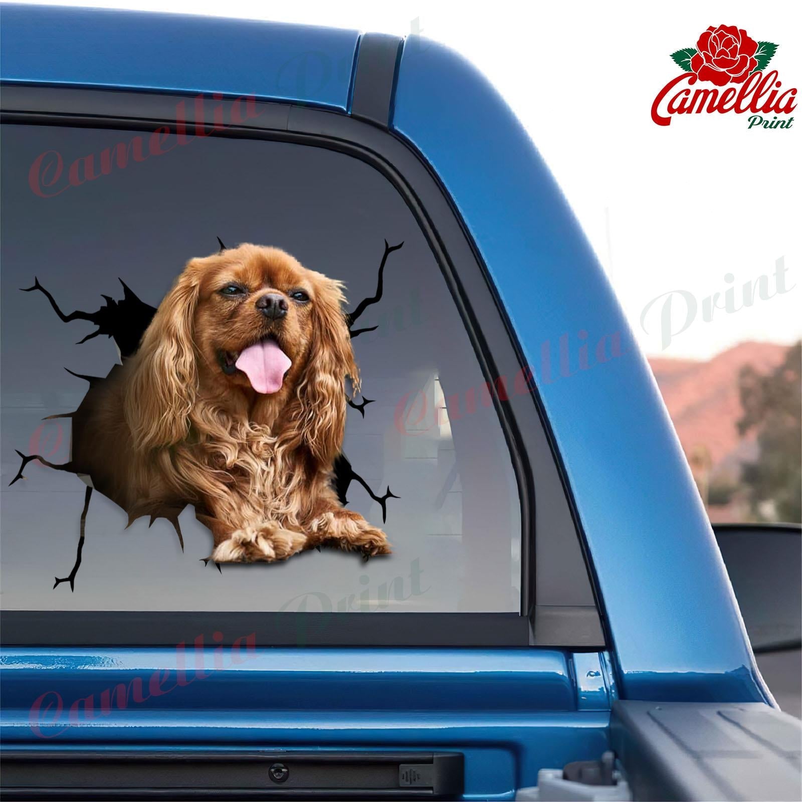 25 Best Gifts for Spaniel Lovers: 2025 Buying Guide