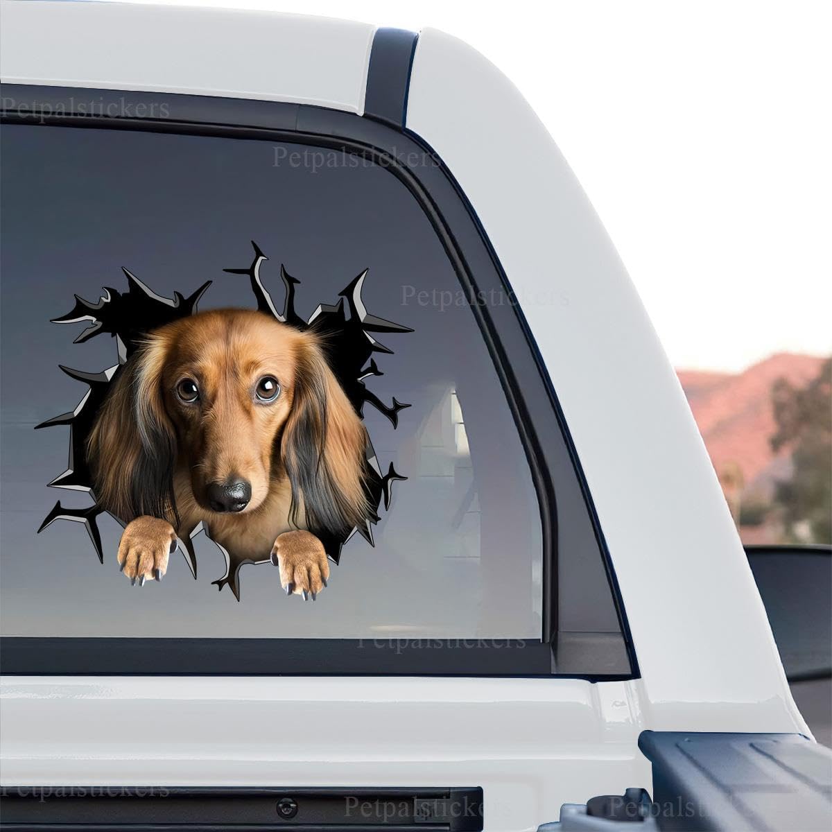 25 Best Gifts for Dachshund Lovers: 2026 Wiener Dog Gift Guide
