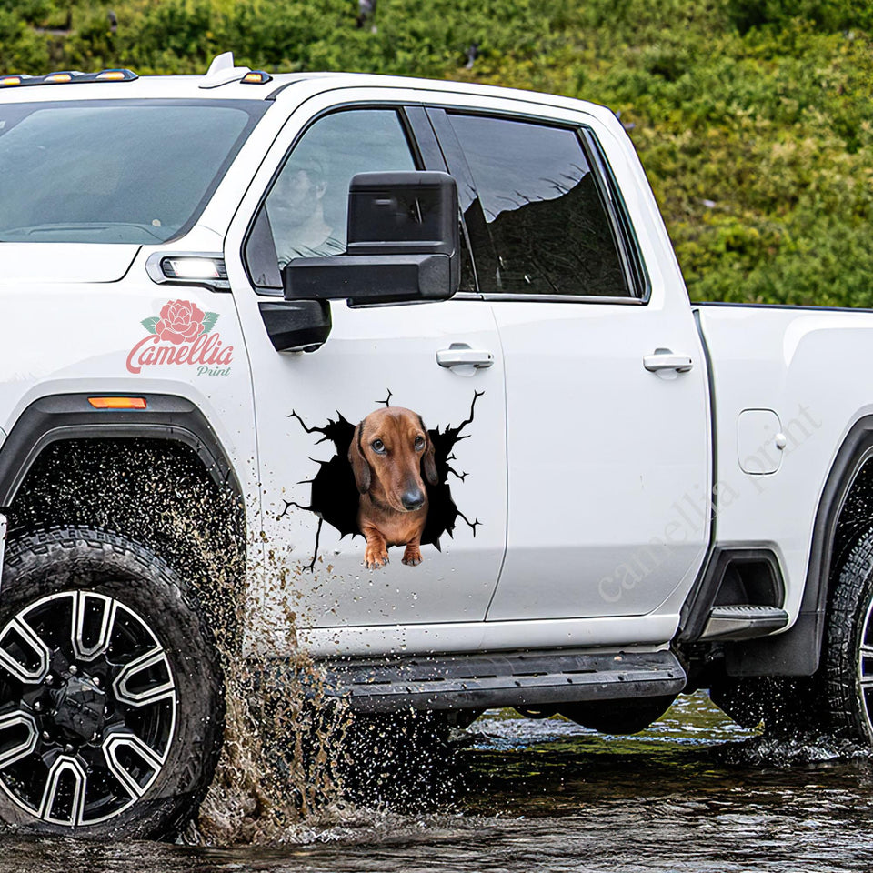 Dachshund Crack Sticker Ideas Funny Custom Decals For Trucks Dog Lover Gifts