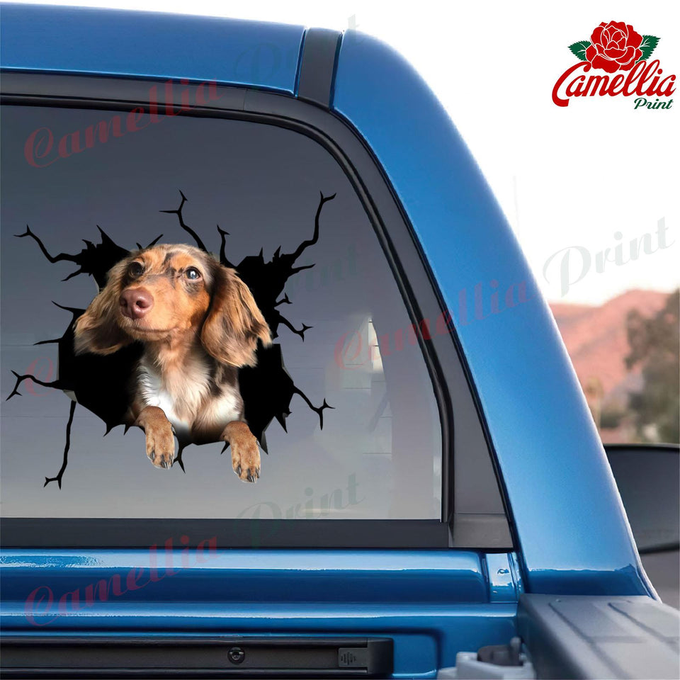 Dachshund Crack Sticker Car Funny Memes Custom Wall Decal Best Gifts - Dog Lovers die-cut waterproof vinyl sticker decal