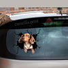 Dachshund Crack Sticker Car Funny Memes Custom Wall Decal Best Gifts - durable UV resistant bumper and tumbler decal detail