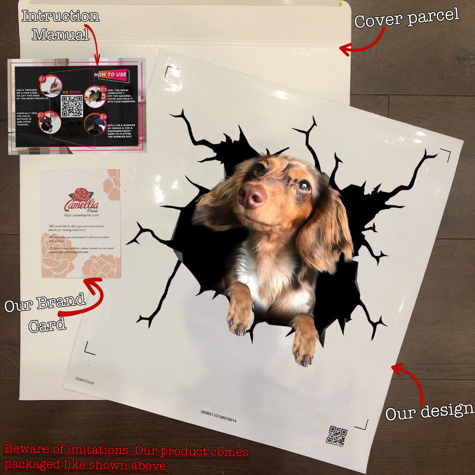 Dachshund Crack Sticker Car Funny Memes Custom Wall Decal Best Gifts - premium outdoor waterproof vinyl decal close-up