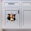 Dachshund Crack Sticker Car Funny Memes Custom Wall Decal Best Gifts - high quality vinyl sticker view #5
