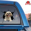 Shih Tzu Crack Decal For Rear Window Wiper Happy Sticker Designs Box Gift