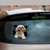 Shih Tzu Crack Decal For Rear Window Wiper Happy Sticker Designs Box Gift