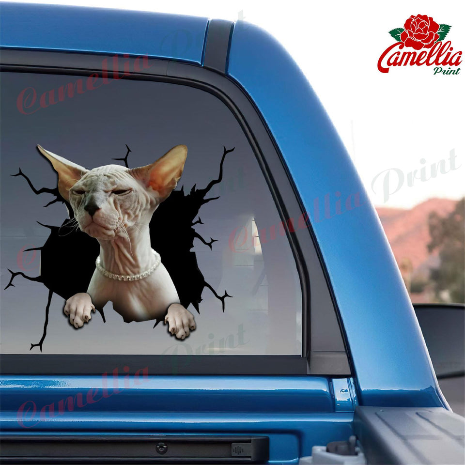 Sphynx Cat Crack removable sticker made from waterproof vinyl for cars, laptops, tumblers, and windows