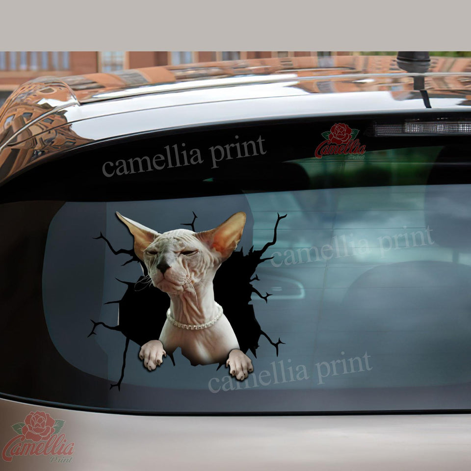 Sphynx Cat Crack removable sticker made from waterproof vinyl for cars, laptops, tumblers, and windows
