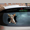 Sphynx Cat Crack removable sticker made from waterproof vinyl for cars, laptops, tumblers, and windows