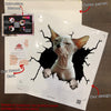 Sphynx Cat Crack removable sticker made from waterproof vinyl for cars, laptops, tumblers, and windows