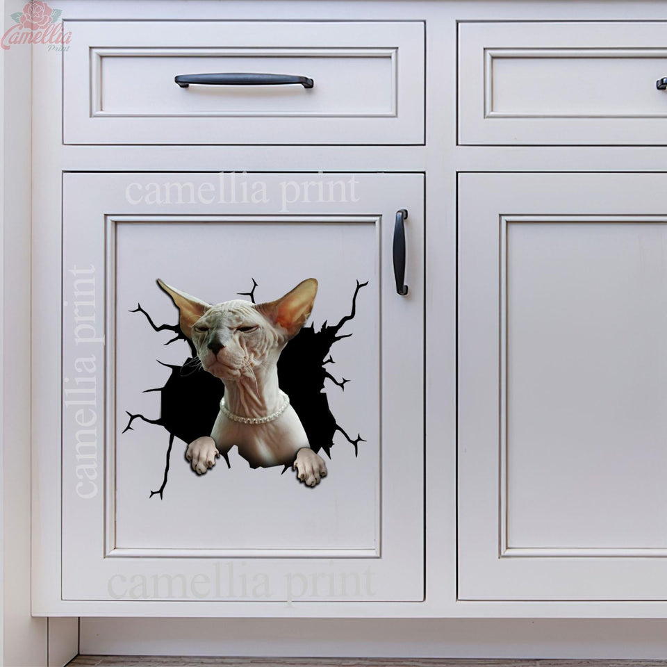 Sphynx Cat Crack removable sticker made from waterproof vinyl for cars, laptops, tumblers, and windows