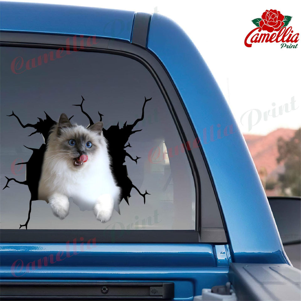 Ragdoll Cat Crack Decor Decal Humor Decal Birthday Gift For Wife