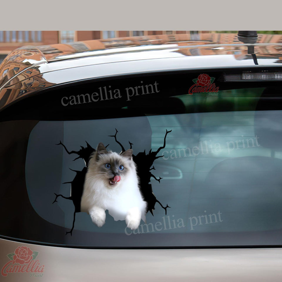Ragdoll Cat Crack Decor Decal Humor Decal Birthday Gift For Wife