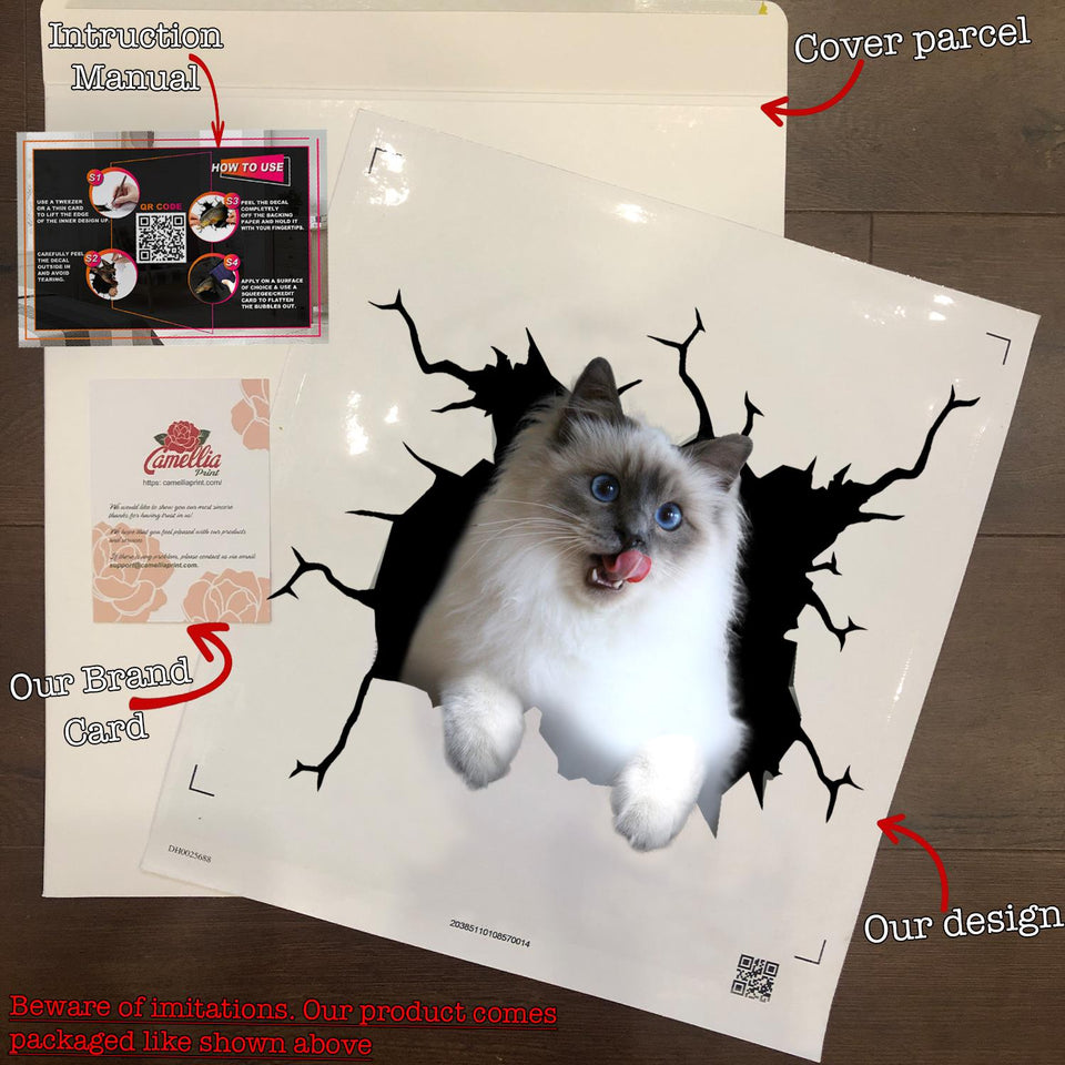 Ragdoll Cat Crack Decor Decal Humor Decal Birthday Gift For Wife