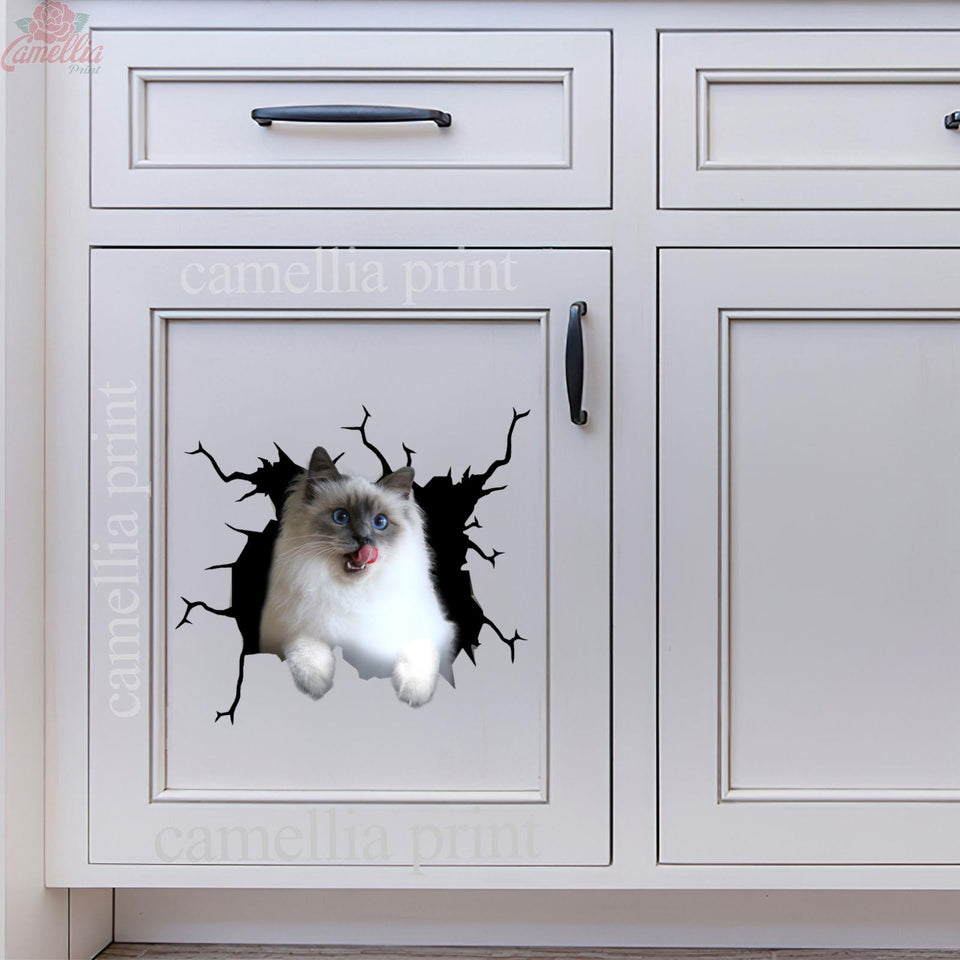 Ragdoll Cat Crack Decor Decal Humor Decal Birthday Gift For Wife