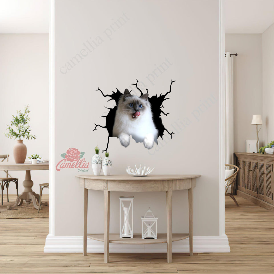 Ragdoll Cat Crack Decor Decal Humor Decal Birthday Gift For Wife