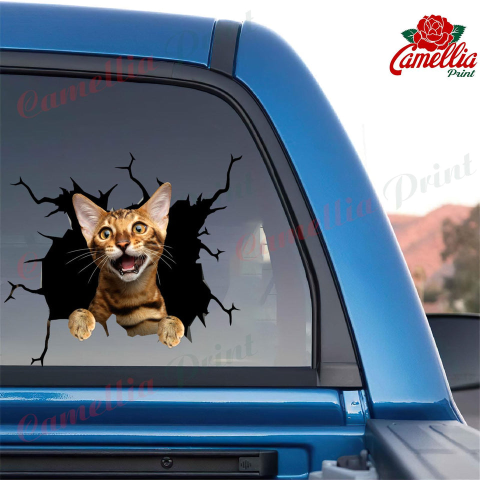 Bengal Cat Crack Bumper Sticker Funny Gifs Art Stickers Presents For Dads