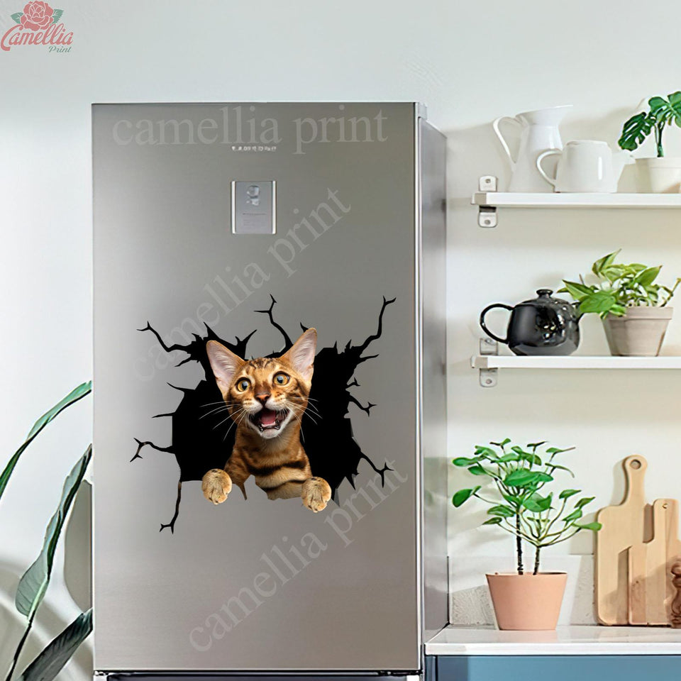Bengal Cat Crack Bumper Sticker Funny Gifs Art Stickers Presents For Dads