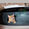 Maine Coon Cat Crack Decals For Cars Funny Custom Sticker Maker Gifts For Mom