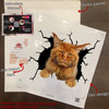 Maine Coon Cat Crack Decal Car A Cute Transparent Sticker Christmas Gifts For Couples