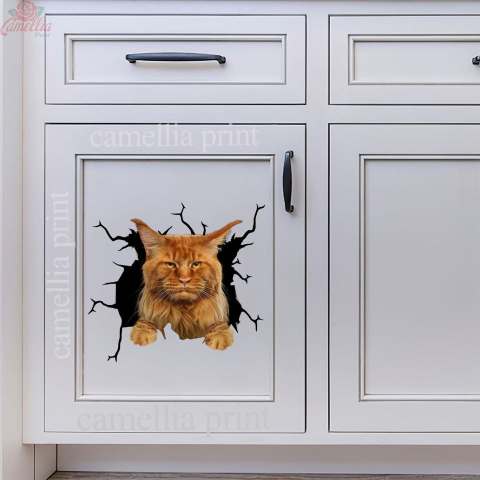 Maine Coon Cat Crack Decal Car A Cute Transparent Sticker Christmas Gifts For Couples