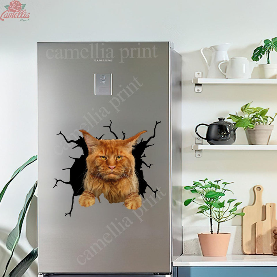Maine Coon Cat Crack Decal Car A Cute Transparent Sticker Christmas Gifts For Couples