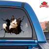 Tuxedo Cat Crack Decal For Boat Funny Birthday Memes Sticker Sheets Kittens Lover Gifts - Cat Lovers die-cut waterproof vinyl sticker decal