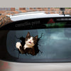 Tuxedo Cat Crack Decal For Boat Funny Birthday Memes Sticker Sheets Kittens Lover Gifts - durable UV resistant bumper and tumbler decal detail