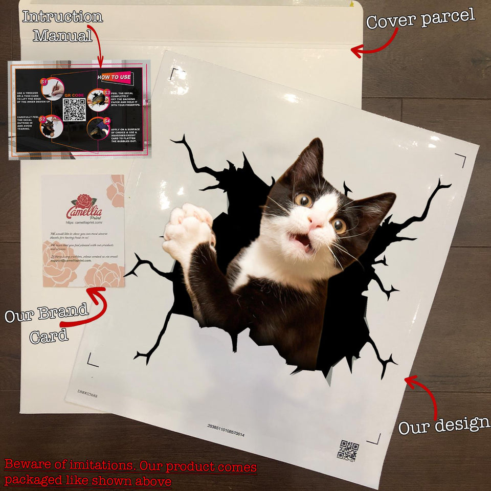 Tuxedo Cat Crack Decal For Boat Funny Birthday Memes Sticker Sheets Kittens Lover Gifts - premium outdoor waterproof vinyl decal close-up
