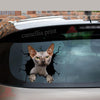 Sphynx Cat Crack Decal For Boat Cuteness Overloaded Kiss Cut Stickers Gifts For Grandpa - durable UV resistant bumper and tumbler decal detail