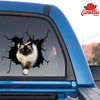 Ragdoll cat crack vinyl sticker pack for cat lovers, waterproof die-cut decal for cars, laptops, and tumblers