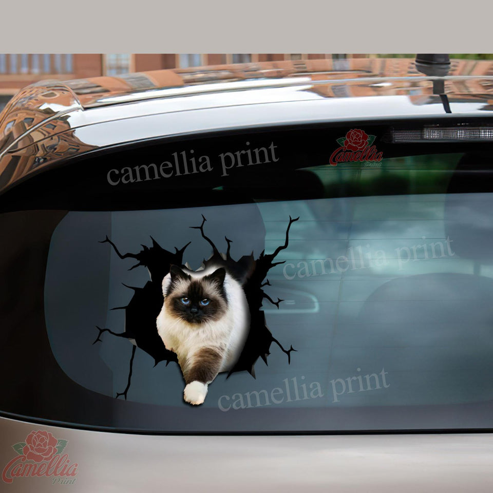 Ragdoll cat crack vinyl sticker pack for cat lovers, waterproof die-cut decal for cars, laptops, and tumblers