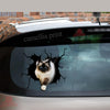 Ragdoll cat crack vinyl sticker pack for cat lovers, waterproof die-cut decal for cars, laptops, and tumblers