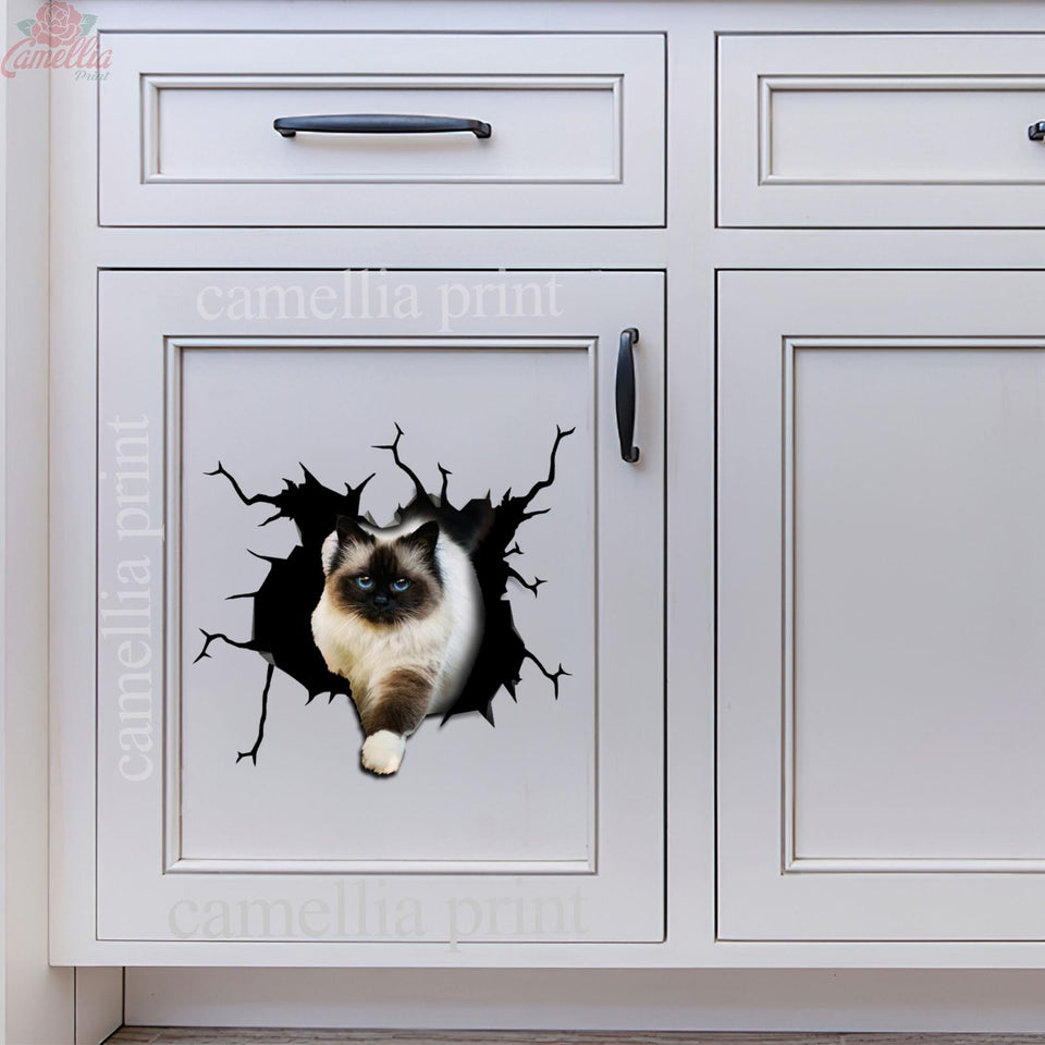 Ragdoll cat crack vinyl sticker pack for cat lovers, waterproof die-cut decal for cars, laptops, and tumblers