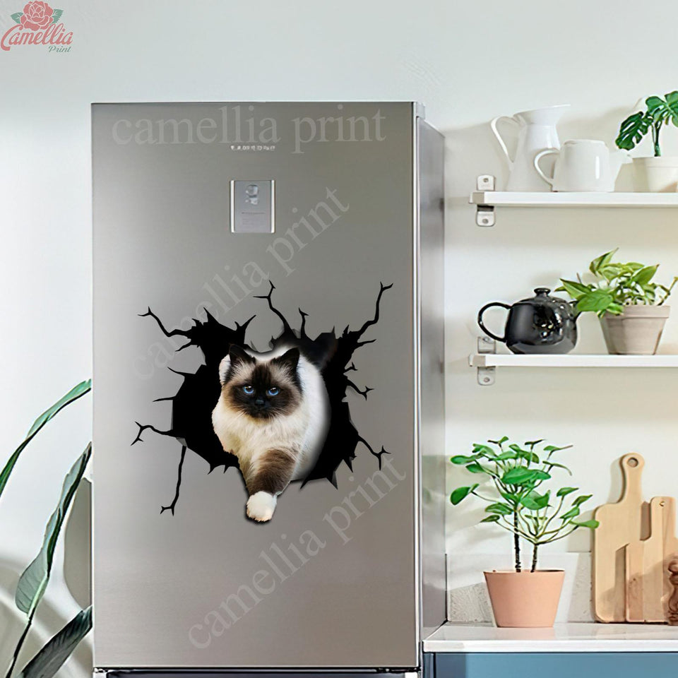 Ragdoll cat crack vinyl sticker pack for cat lovers, waterproof die-cut decal for cars, laptops, and tumblers