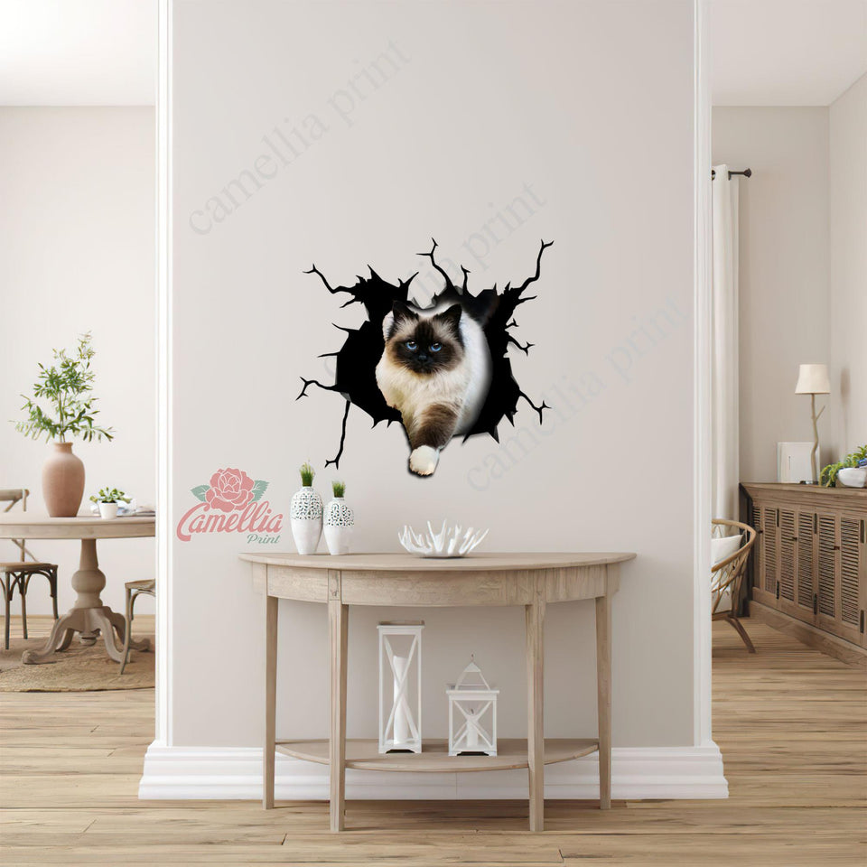 Ragdoll cat crack vinyl sticker pack for cat lovers, waterproof die-cut decal for cars, laptops, and tumblers