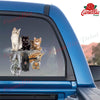 Cats Shade Tigers Animal Sticker Car Window Funny Gifs Custom