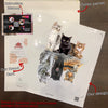 Cats Shade Tigers Animal Sticker Car Window Funny Gifs Custom