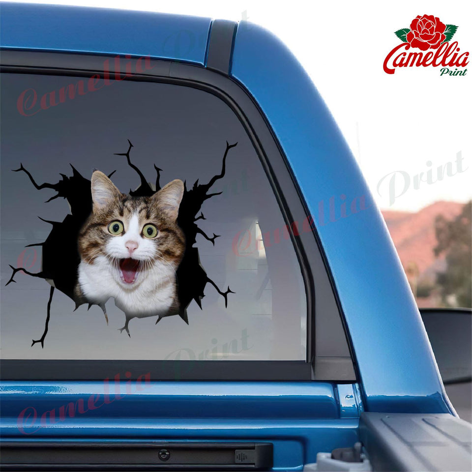 Funny Cats Crack Bone Sticker Funny Car Decals Gifts