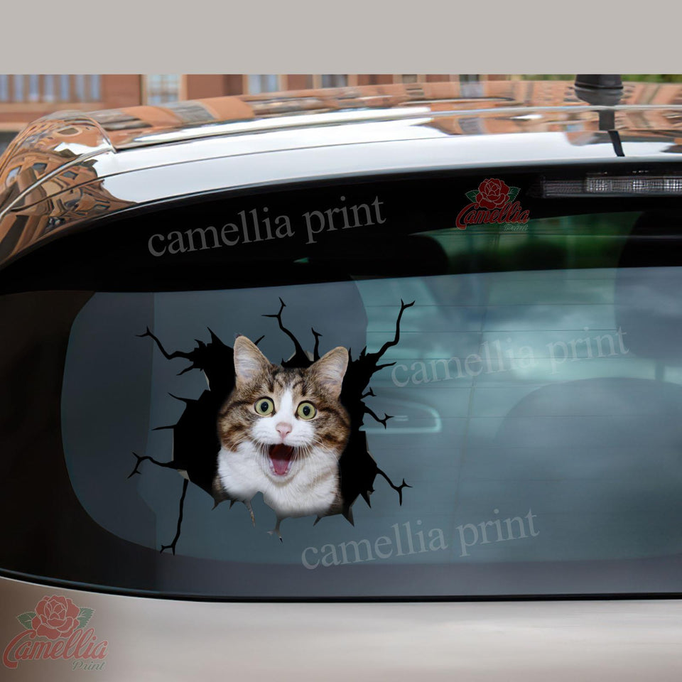 Funny Cats Crack Bone Sticker Funny Car Decals Gifts