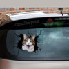 Funny Cats Crack Bone Sticker Funny Car Decals Gifts
