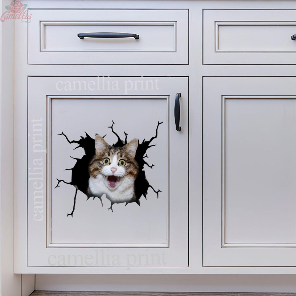 Funny Cats Crack Bone Sticker Funny Car Decals Gifts