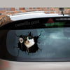 Tuxedo Cats Decal Items Nice Car Window Stickers Retirement