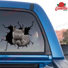 Funny Cats Crack Decal for Boat Likeable Friendship Stickers