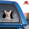 Sphynx Cat Sticker Chart Funny Faces Circle Stickers Presents