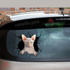 Sphynx Cat Sticker Chart Funny Faces Circle Stickers Presents