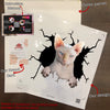 Sphynx Cat Sticker Chart Funny Faces Circle Stickers Presents