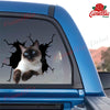 Siamese Cat Crack Sticker Decals Humor Decal Stickers Valentines