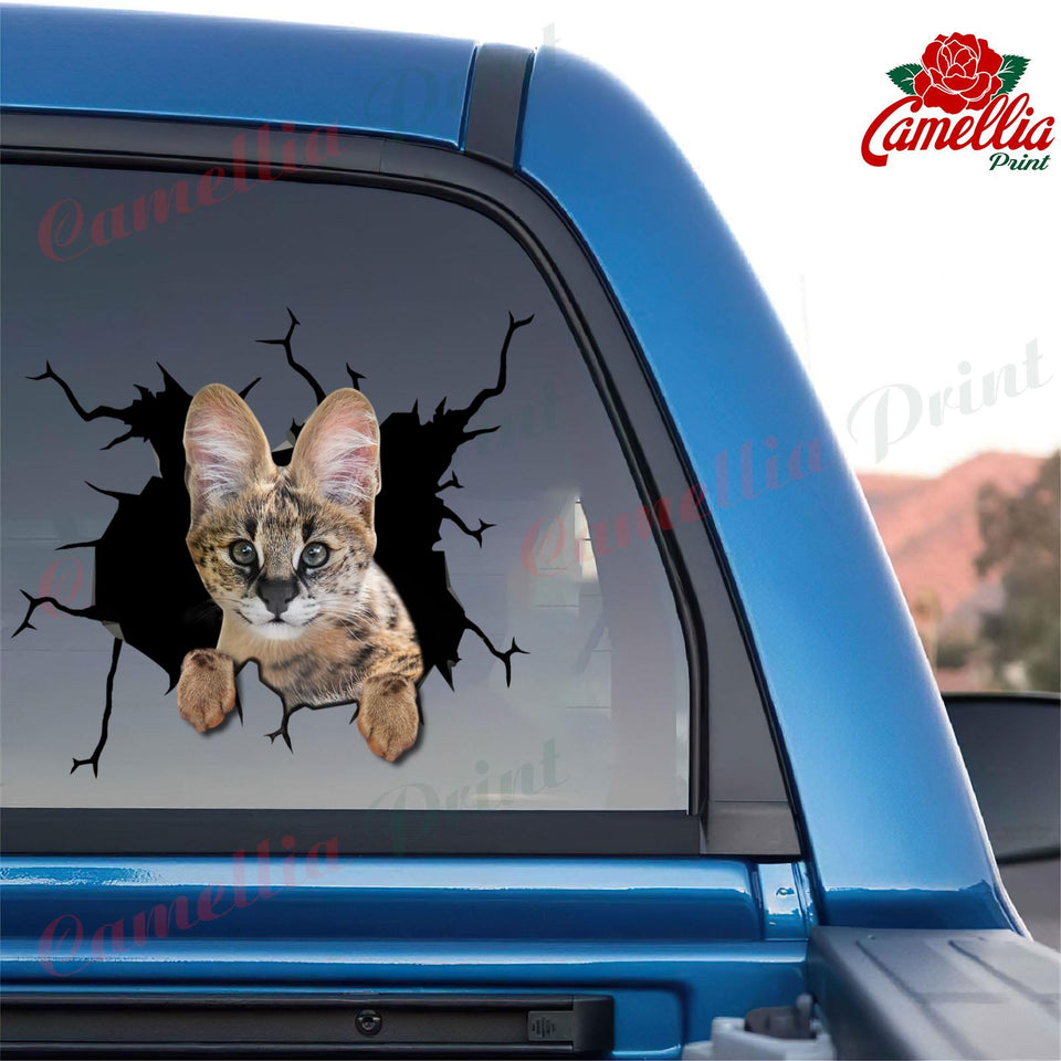 Savannah Cat Crack Head Decal You Cute Dot Stickers Anniversary