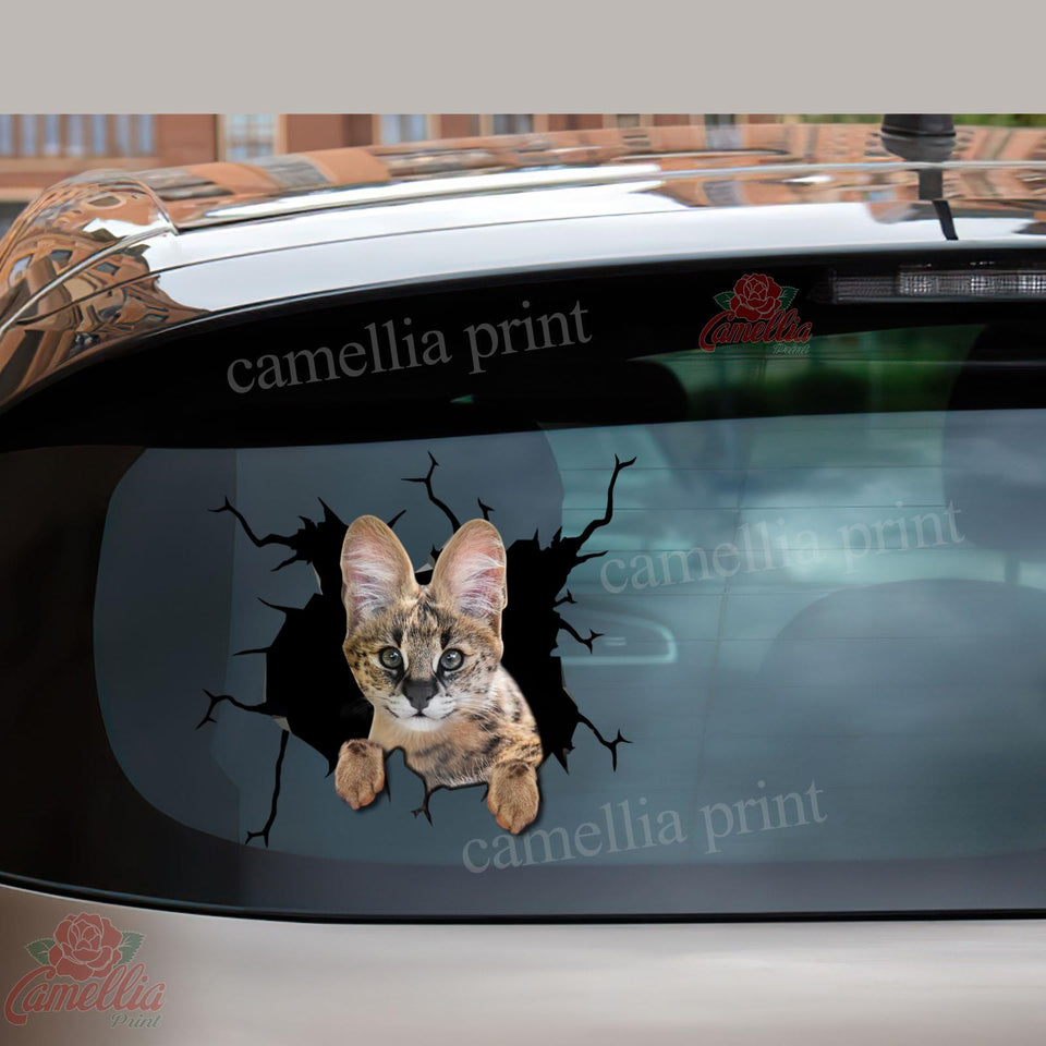 Savannah Cat Crack Head Decal You Cute Dot Stickers Anniversary