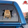 Persian Cat Crack Sticker Emoji Be Cute Custom Window Decals